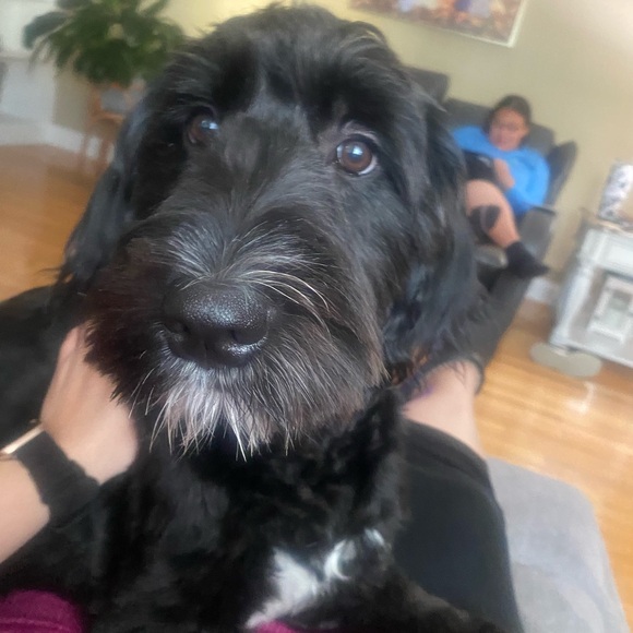 Meet your Posher, Andrea - Picture 13 of 16